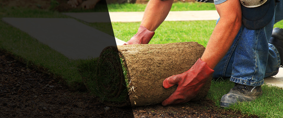 Whitesburg Landscapers